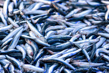 fresh anchovies on the counter in the store