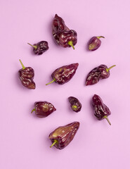 purple habanero chilli peppers, isolated on purple background, flat lay
