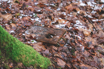 leftovers of wooden bird nest box near big tree. Autumn leaves and traces of snow