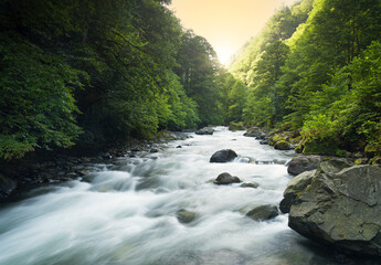 Spring background. River in woodland at sunrise. Long exposure river image.