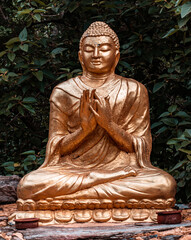 Złoty posąg Buddy na roślinnym tle. - obrazy, fototapety, plakaty