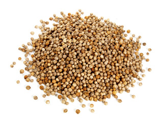 Cilantro Seeds isolated on white Background.