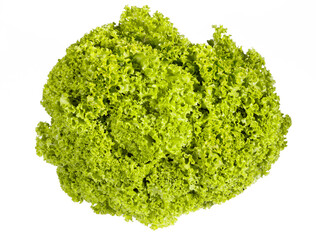 Green salad leaves