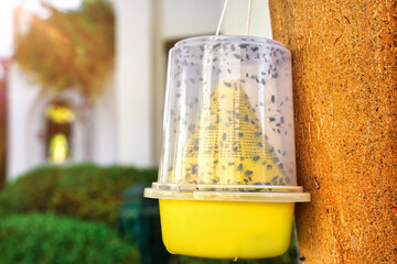 The Ecological trap for flies of yellow plastic hangs on a tree against a background of greenery