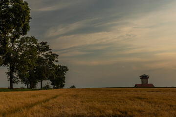 Nice summer color evening near Roprachtice village under Krkonose mountains