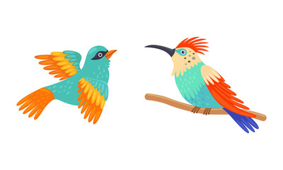 Tropical Bird with Bright Feathers Sitting on Tree Branch Vector Set