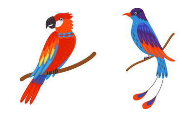 Tropical Bird with Bright Feathers Sitting on Tree Branch Vector Set