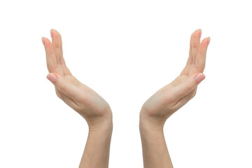hands isolate show gesture like showing something