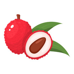 Fresh whole and half cut lychee fruit with leaf isolated on white background. Summer fruits for healthy lifestyle. Organic fruit. Cartoon style. Vector illustration for any design.
