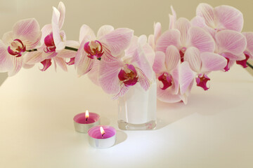 Pink phalaenopsis orchid flower with burning candle in beige interior. Selective soft focus. Minimalist still life. Light and shadow nature horizontal background.