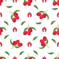 Seamless pattern with fresh bright lychee fruits isolated on white background. Summer fruits for healthy lifestyle. Organic fruit. Cartoon style. Vector illustration for any design.