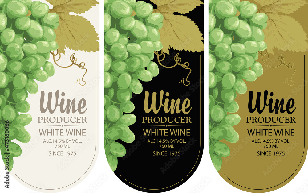 Poster set of vertical wine labels with realistic bunches of delicious green grapes and calligraphic inscri