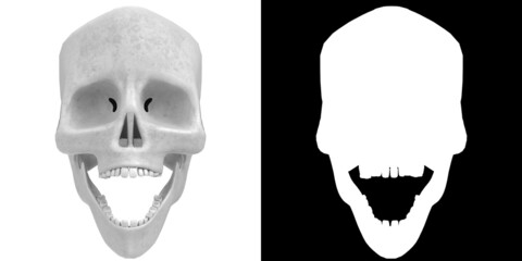 3D rendering illustration of a stylized human skull anatomy