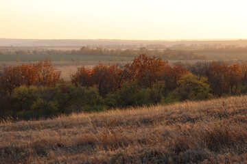 steppe landscape 