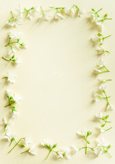 Spring background with green plants and white flowers on a light paper background. Contrast and minimalism concept.	