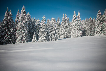 plateau de chamrousse vers grenoble en isère en hiver