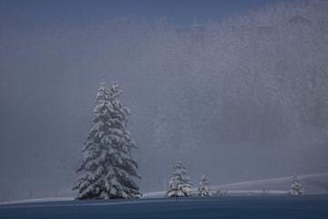 paysage hivernal sous la neige
