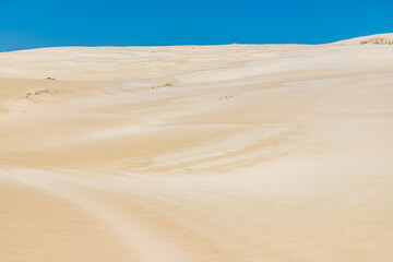 Dunes and vegetation