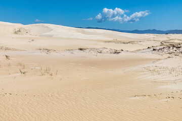 Fototapeta na wymiar Dunes and vegetation