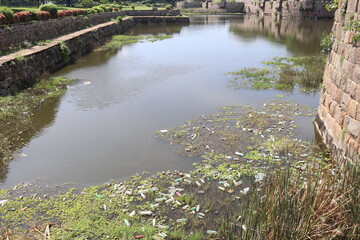 Fototapeta na wymiar Water pollution in Vellore fort too
