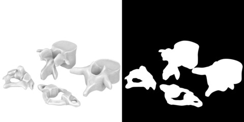 3D rendering illustration of stylized human vertebrae anatomy