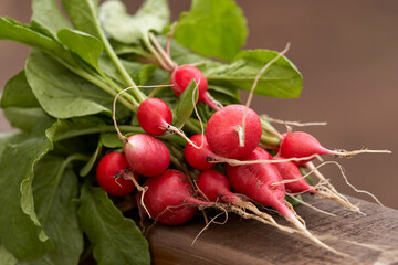 Harvest from the garden. A bunch of red radishes with round root vegetables. Selective focus.