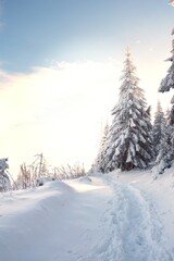 Zima w górach - obrazy, fototapety, plakaty