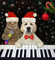 A beige cat and dog labrador play the piano and sing Christmas songs in a nightclub.