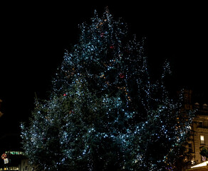Christmas Tree Large 2