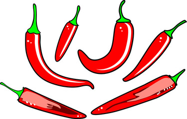 Red hot chili peppers. Spicy mexican food vegetables. Cayenne vector illustration