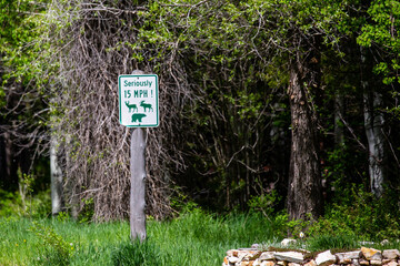 Seriously 15 MPH Speed limit sign for wildlife in the town of Moran in Jackson Hole, Wyoming