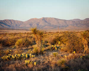 Road to Big Bend National Park, Marathon, Texas