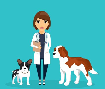 A girl is a veterinarian, standing next to the dogs. Care and health of animals. Flat style on a blue background. Cartoon