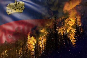 Forest fire natural disaster concept - flaming fire in the woods on Liechtenstein flag background - 3D illustration of nature