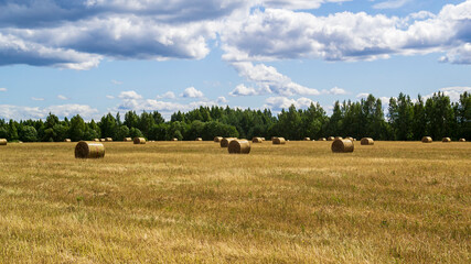 a field with straw bales