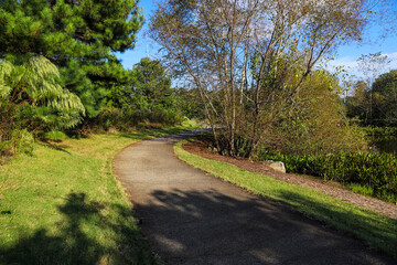 Plakat a smooth long winding footpath near the lake in the park with a gorgeous autumn landscape surrounded by lush green and autumn colored trees and plants with blue sky and clouds at Garrard Landing Park 