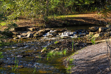 Fototapeta na wymiar a gorgeous shot of a water running over the rocks in a creek in the park surrounded by lush green grass with green and autumn colored trees at Garrard Landing Park in Alpharetta Georgia USA