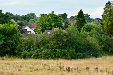 Rural settlement among green trees, England, UK