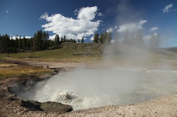Churning Caldron along Mud Volcano Trail in Yellowstone National Park, Wyoming