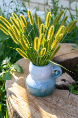 vase with flowers in nature