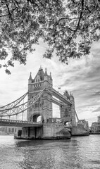 Obraz premium River Thames and Tower Bridge on a autumn day, London