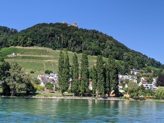 Fototapeta na wymiar Der Blick von einem Schiff auf dem Rhein auf ein altes Schloss auf einem Hügel. Davor sind Weinberge und grosse Bäume zu sehen