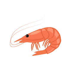 Shrimp icon in flat style, fresh sea food. Isolated on white background. Vector illustration