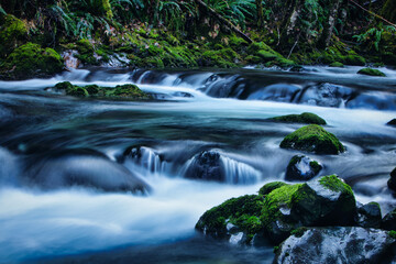Fototapeta na wymiar Waterfall at Fossli Provincial Park, port Alberni, Vancouver Island, British Colombia