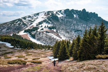 Spring on the highest mountain in Serbia, Midzor, Stara planina