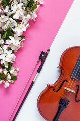 Fototapeta na wymiar Close up of Branch of blossoming cherry and violin with bow on White and trendy Pacific Pink background.