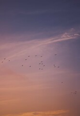 Sunset sky background