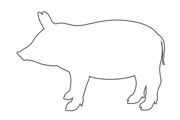 Pig on white. Hand drawn animal on isolated background. Linear pattern. Black and white illustration. Print