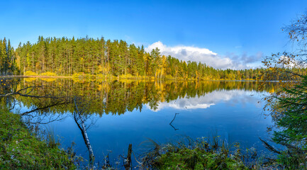 Landscape with a forest lake in Karelia.