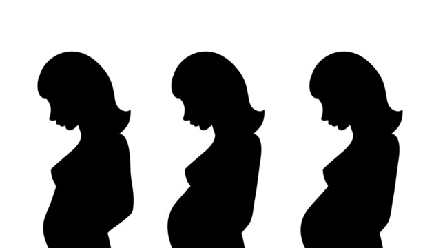 Set of silhouettes profile of pregnant woman with a belly in different trimesters. Changes in a woman's body in pregnancy stages. Black elements isolated on white background. Vector illustration. 